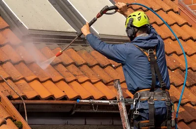 Démoussage et hydrofuge de toiture à Mauchamps